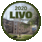 Symbol:LIVO 2020